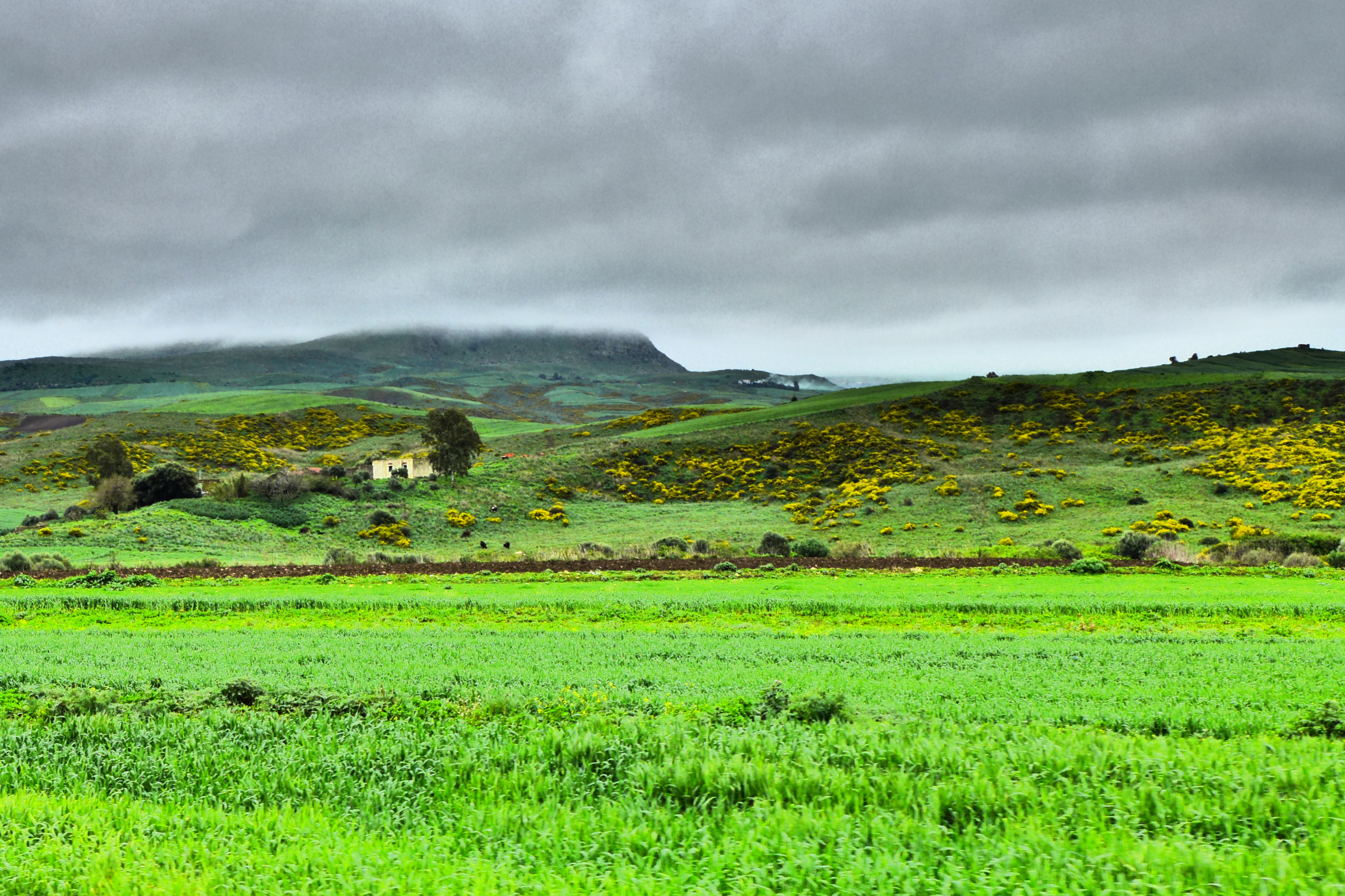 beja (4).webp